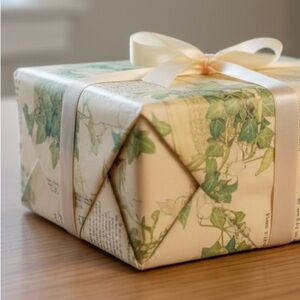 Retro Houseplant Wrapping Paper Sealed NOS Spider Plant Ivy